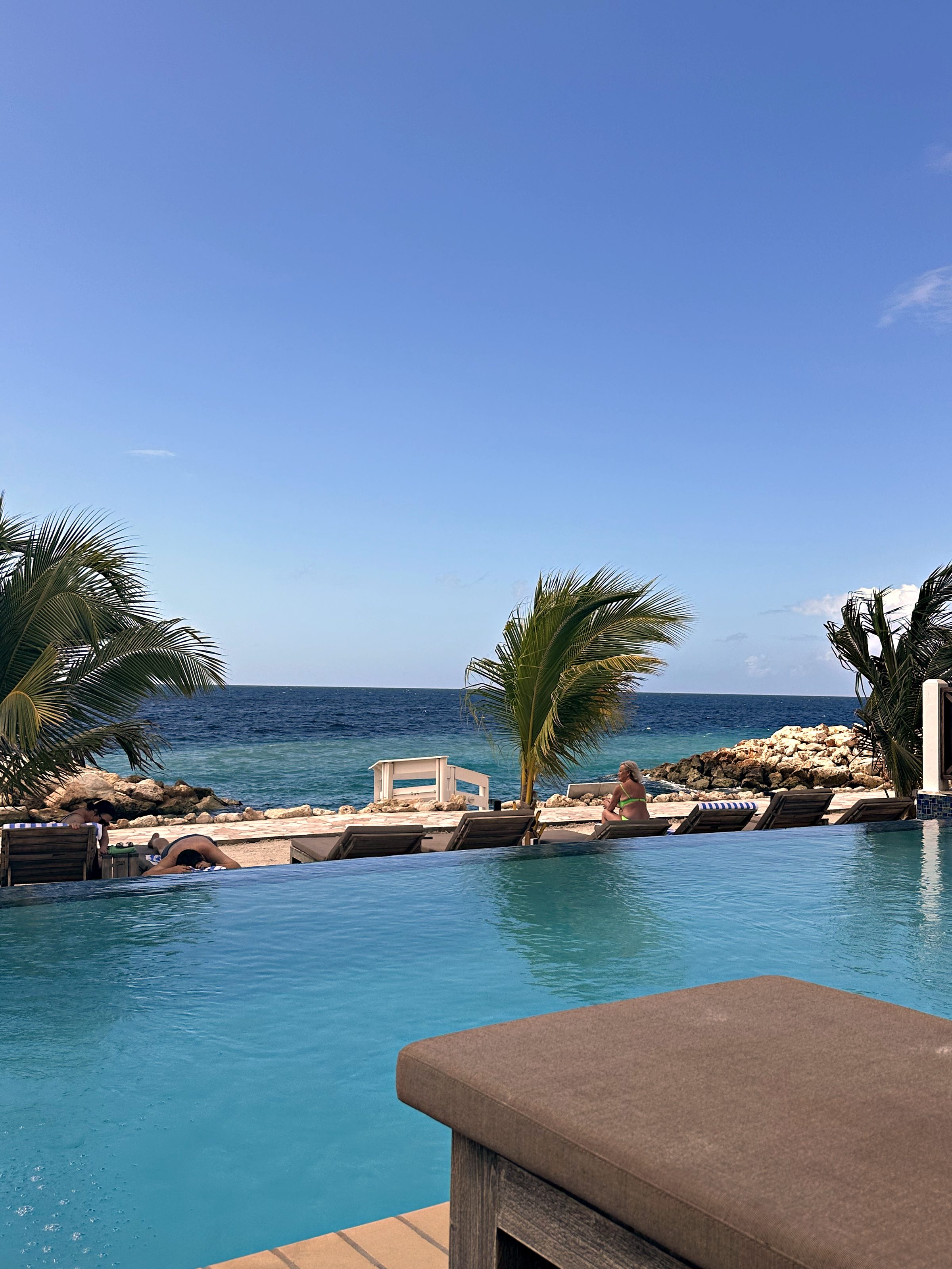 Infinity pool with palm trees and an ocean view under a blue sky