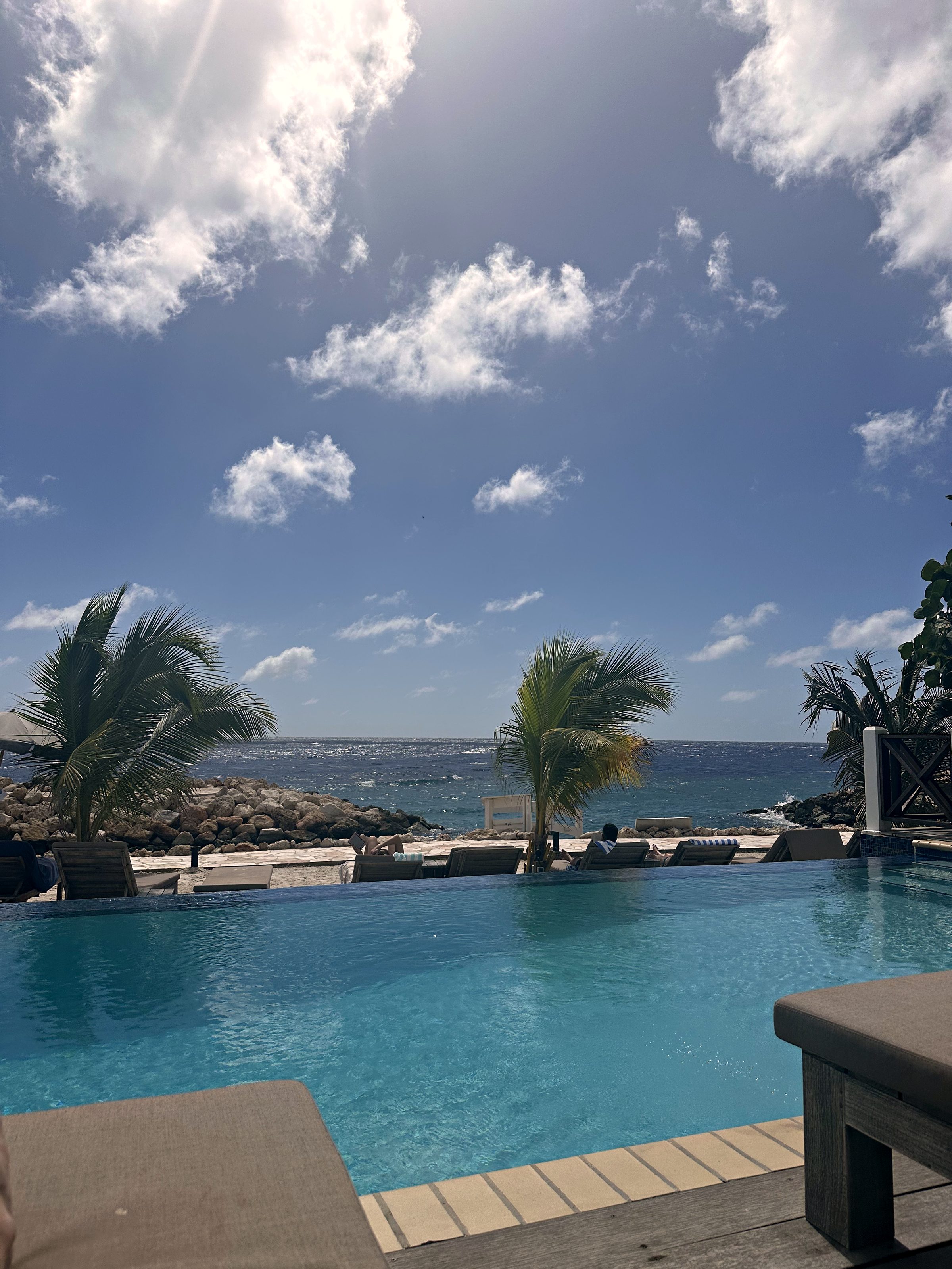 Pool with palm trees and the sea beyond under a cloudy blue sky