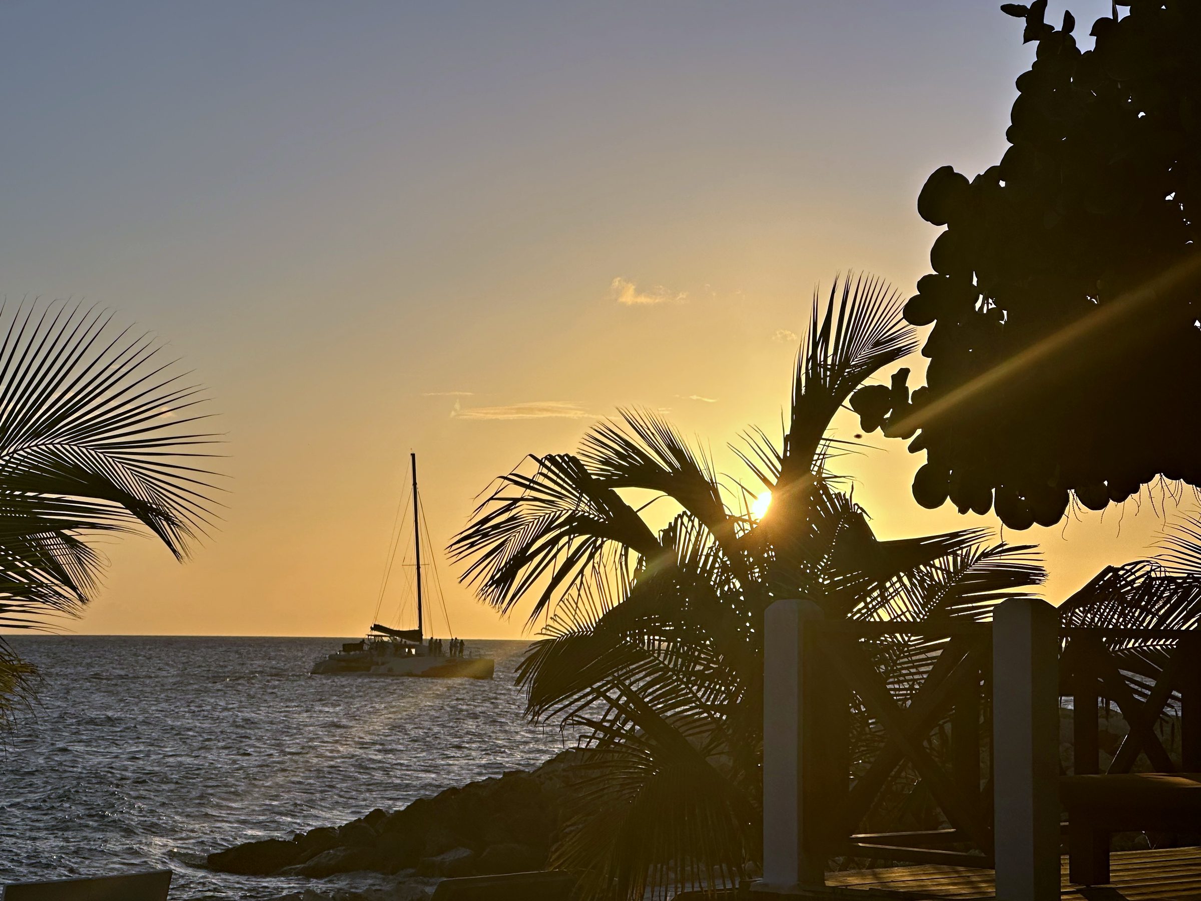 Palm trees silhouetted against a golden sunset over the sea